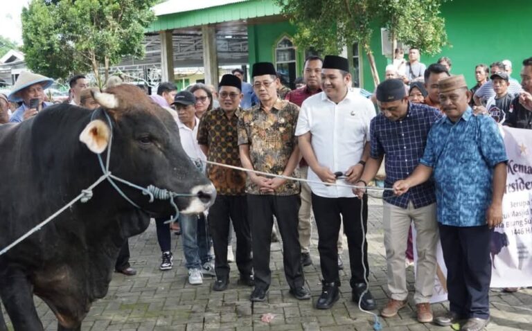 Jelang Hari Raya Idul Adha 1446 H, Pemkot Bitung Serahkan 54 ekor Hewan Kurban